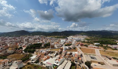 Horta del Rajolar en Bechí. Huerto