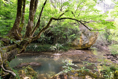 Fuente de los Tilos en Beteta. Zona de senderismo