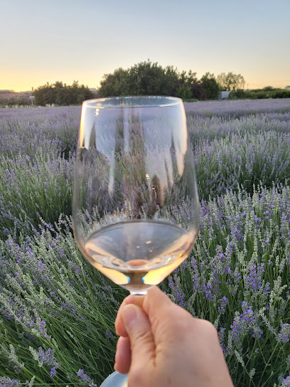 Aromes de Can Rosselló en Lleida. Proveedores de sabores