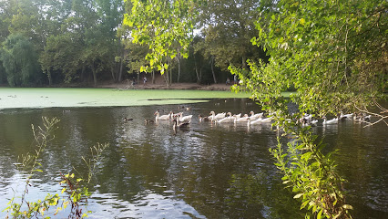 Bassa Dels Anecs en La Roca del Vallès. Parque
