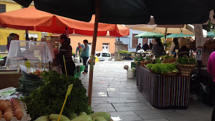 Mercadillo del Agricultor de Güímar en Güímar. Mercado de productos agrícolas