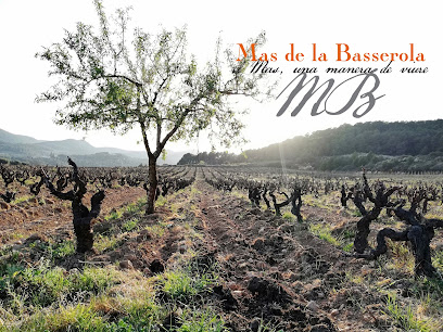 Mas De La Basserola - Cellers Vives Gau en El Pla de Manlleu. Tienda de vinos