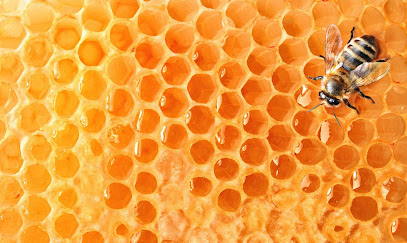 Apicola Costa del Azahar en Alquería de la Condesa. Tienda de alimentos naturales