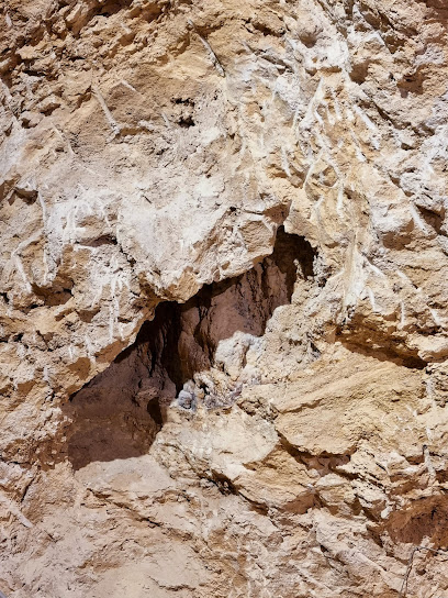 NEAN Parque Prehistórico de Capellades en Capellades. Museo