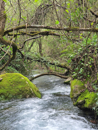 Ruta del río Majaceite en Grazalema. Zona de senderismo
