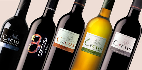 Bodega Pago de Larrea en Elciego. Bodega