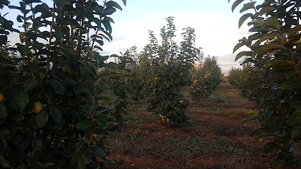 Agricultura Ecológica Denia en Dénia. Asociación de ecologistas
