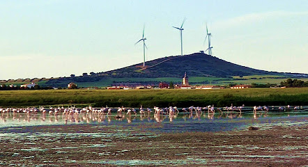 Laguna de El Longar en Lillo. Zona de senderismo