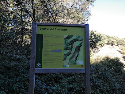 Dehesa del Camarate en Lugros. Bosque nacional