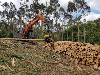 ASTURIANA DE MATERIALES ECOLOGICOS - ASERRADERO en Cardo. Empresa maderera