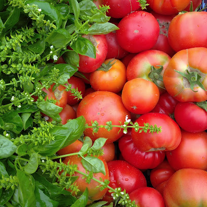 Aspilla barazki ekologikoak en Andoáin. Tienda de alimentación