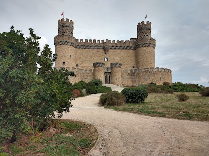 Visita Manzanares El Real en Manzanares el Real. Agencia de visitas turísticas
