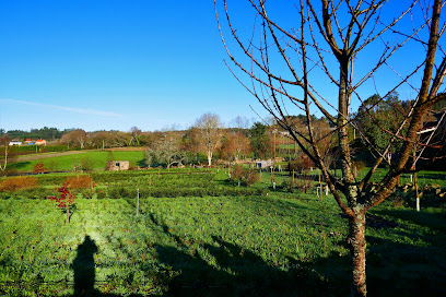 Fábrica de infusiones de Orballo en Oleiros. Granja orgánica