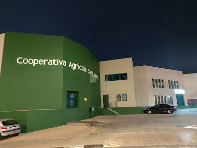 Cooperativa Agrícola Sant Josep en Villavieja. Cooperativa agropecuaria
