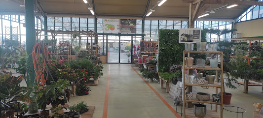 Helechos Jardinería en Leganés. Vivero