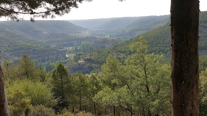 Camino Palomera en Palomera. Editor de periódicos