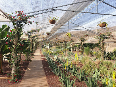 Finca Canarias Aloe Vera Güimar en Güímar. Proveedor de productos de belleza
