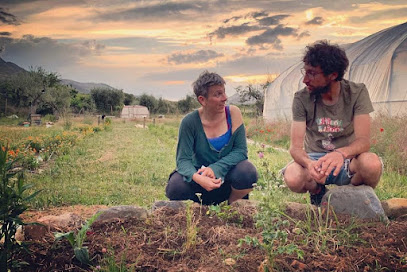 Lurreko Aromáticas en Arnedillo. Producción agrícola