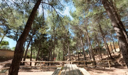 Parque 'Coto Escolar' en Onil. Parque