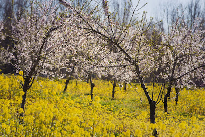 Escuela Agraria de Alfarràs en Alfarràs. Granja escuela