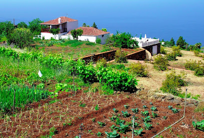 Turismo Rural en Tijarafe. Casa rural
