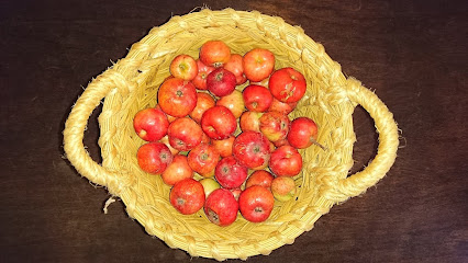 Finca Ecológica Camposana en La Guía. Tienda de alimentos orgánicos