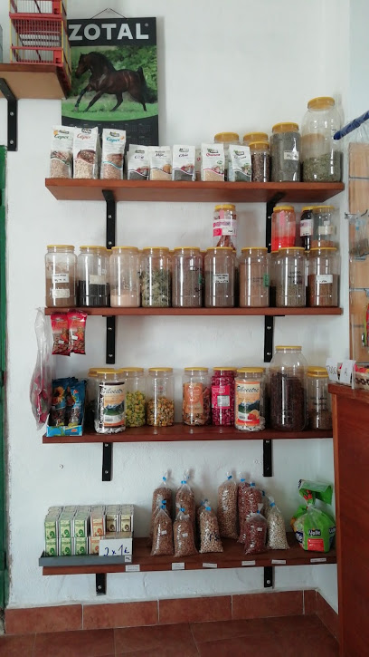 Semillería La Gitanilla en Aznalcázar. Herbolario