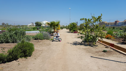 Huerta de Alboraya en Alboraya. Huerto