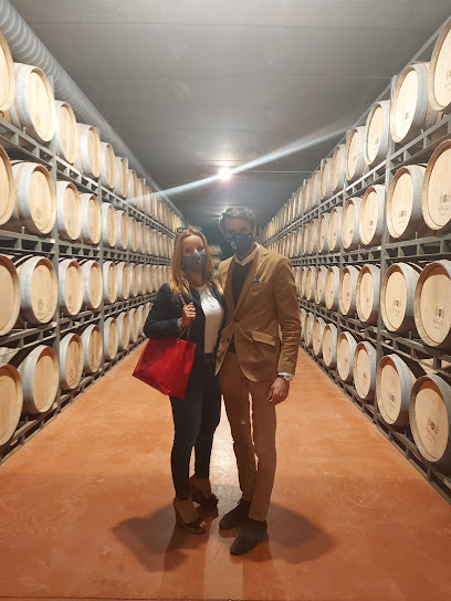 Bodegas Navajas en Navarrete. Bodega
