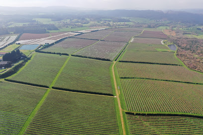 Finca Horticina en Cerdido. Oficinas de empresa