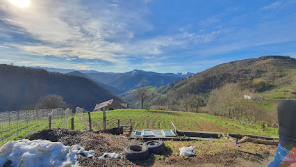 Aleka en Beizama. Proveedor de semillas