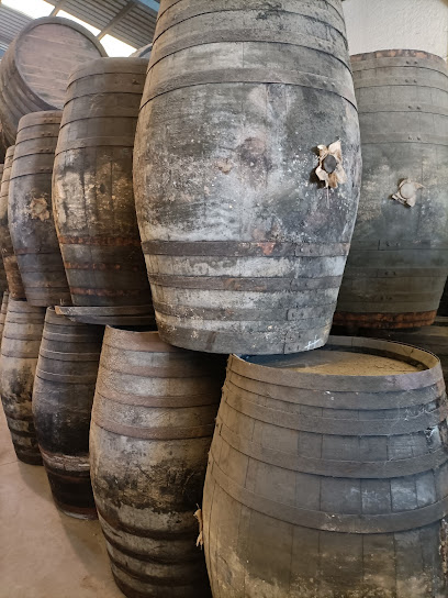 Bodegas Robles | Vinos Ecológicos Montilla Moriles en Montilla. Bodega