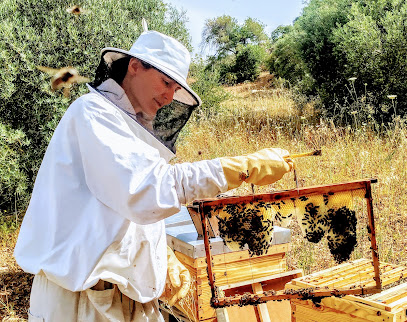 Ladrón de Miel en El Gastor. Granja orgánica