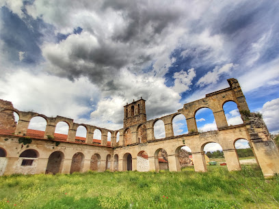 Restos del Monasterio de santa María de Óvila en Trillo. Lugar de interés histórico