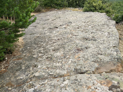 Yacimiento de Icnitas del Royo en El Royo. Lugar de interés histórico