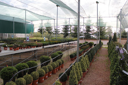 Viveros Rucat S.L. en Galapagar. Vivero