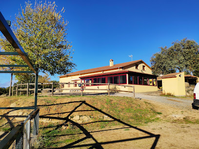 Finca Montespliego Casa Rural Grande con padel en Burgohondo. Casa rural
