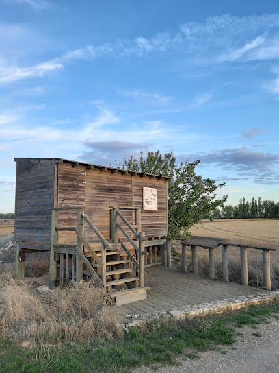 Laguna de Tamariz de Campos en Tamariz de Campos. Parque ecológico