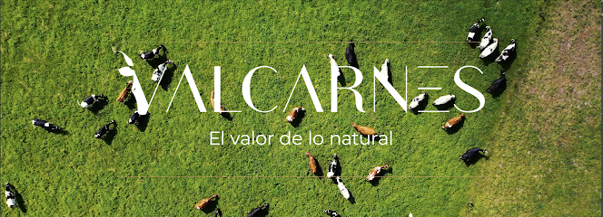 Valcarnes en Casasbuenas. Carnicería
