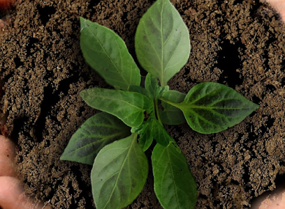 Empresas sostenibles en España en Alicún. Recursos naturales renovables para el medio ambiente