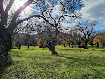 Bosque de La Herrería en San Lorenzo de El Escorial. Bosque nacional
