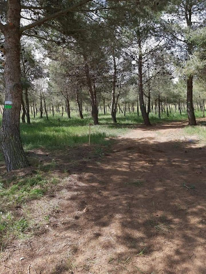 Senda Ecologica El Prao en Casasbuenas. Zona de senderismo