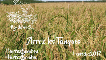 Pego Natura S.L. Arroz bomba
