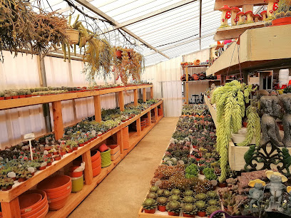 Agrogojarviveros en Gójar. Vivero