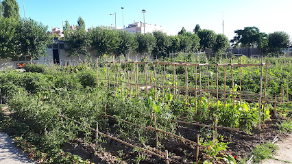 HUERTOS URBANOS 'Huerta Fermín' SAN SEBASTIÁN DE LOS REYES en San Sebastián de los Reyes. Escuela