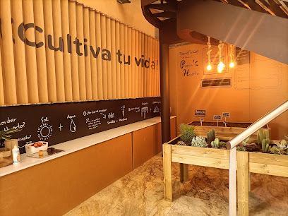 Planeta Huerto en San Vicente del Raspeig. Tienda de alimentos naturales