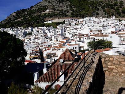 Ecologista En Acción Mijas en Mijas. Asociación sociocultural