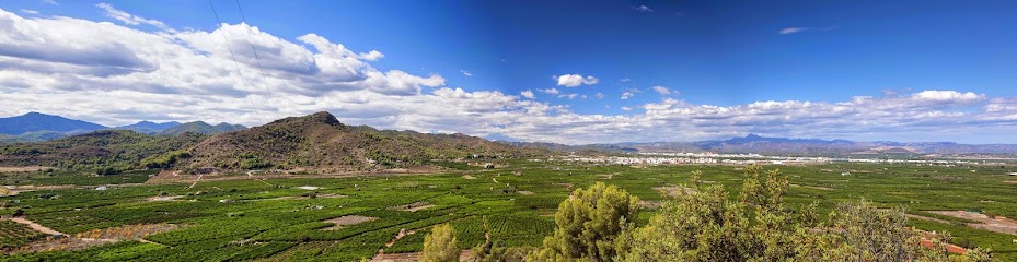 Ayuntamiento de Betxí en Bechí. Ayuntamiento de la localidad