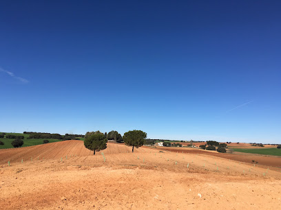 Grupo Avícola Rujamar - Ecológico Honrubia en Honrubia. Granja avícola