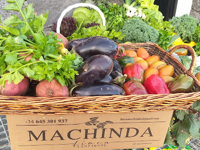 FINCA MACHINDA en Tao. Procesamiento de frutas y verduras